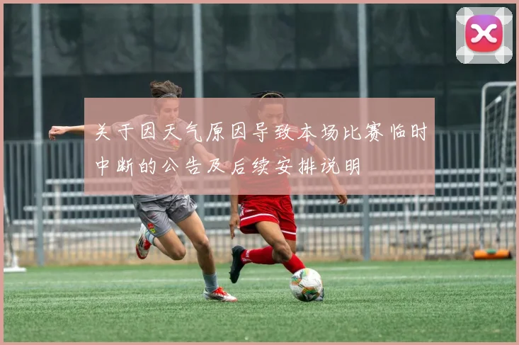 关于因天气原因导致本场比赛临时中断的公告及后续安排说明
